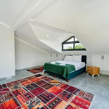 Villa Rmg Villas Fethiye Kemer