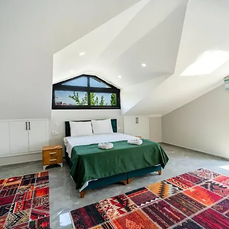 Villa Rmg Villas Fethiye *